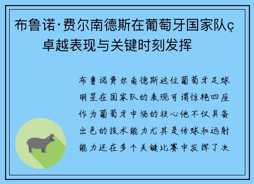 布鲁诺·费尔南德斯在葡萄牙国家队的卓越表现与关键时刻发挥