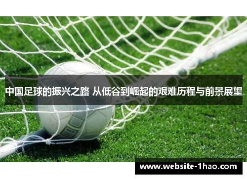 中国足球的振兴之路 从低谷到崛起的艰难历程与前景展望