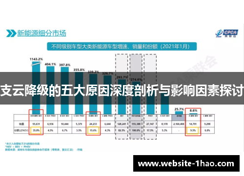 支云降级的五大原因深度剖析与影响因素探讨