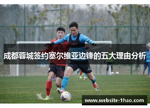 成都蓉城签约塞尔维亚边锋的五大理由分析