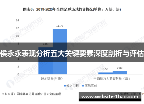 侯永永表现分析五大关键要素深度剖析与评估