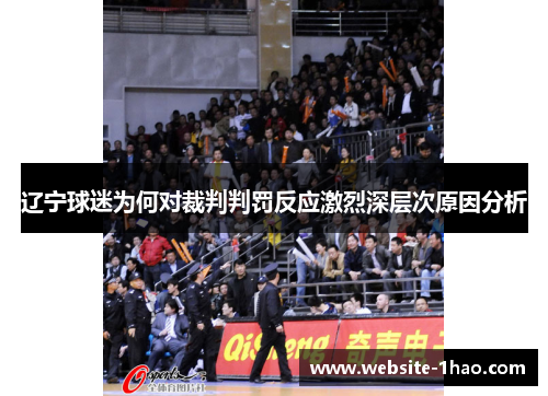 辽宁球迷为何对裁判判罚反应激烈深层次原因分析