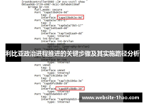 利比亚政治进程推进的关键步骤及其实施路径分析