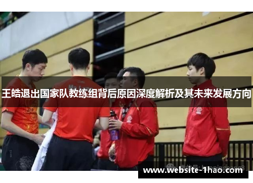 王皓退出国家队教练组背后原因深度解析及其未来发展方向
