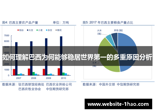 如何理解巴西为何能够稳居世界第一的多重原因分析
